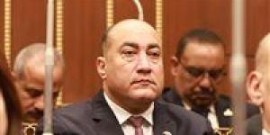 النائب عمرو رشاد: الرئيس السيسي وضع المصريين أمام حجم الإنجاز الحقيقي في مشروع الدلتا الجديدة
