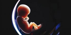 صحة قلب الطفل تتشكل في الرحم بتأثير من صحة الأم