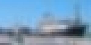 وصول 22 ألف أضحية من رومانيا و إسبانيا إلى تنس