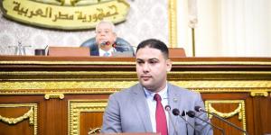النائب إبراهيم الديب: كلمة السيسي في يوم إفريقيا تؤكد دور مصر المحوري بالقارة