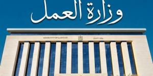 لضمان استقرار الإنتاج.. مديريات العمل تكثف جولاتها الميدانية لدعم العمال بالمحافظات