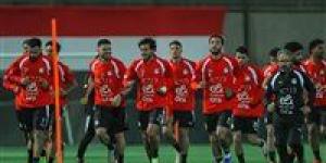 احتفالًا بمرور 10 سنوات.. تذاكر مباراة مصر وروسيا مجانًا