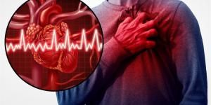 إنتاج "قلب مصغر" يفتح آفاق علاجات بيولوجية لاضطرابات القلب