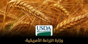 مصر تعزز الأمن الغذائي والاحتياطي الاستراتيجي برفع أسعار توريد القمح خلال 2026