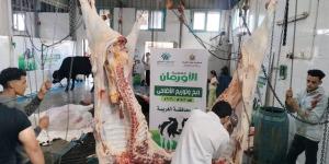 استعدادات لتوزيع لحوم 70 عجلًا على الأسر الأولى بالرعاية خلال عيد الأضحى بالغربية