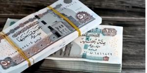 هل يحق للمطلقة الحصول على معاش زوجها المتوفى؟.. القانون يوضح الحالات