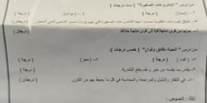 بالدرجات الكاملة.. ننشر نموذج الإجابة الرسمي لـ امتحان اللغة العربية تالتة إعدادي القاهرة