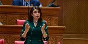بعد مناقشة طلب النائبة إيرين سعيد.. الرئيس السيسي يوافق على مقترح تحسين أجور العاملين بالإسعاف
