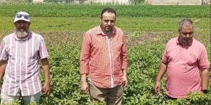 متابعة ميدانية لأعمال إطلاق طفيل الترايكوجراما بمركز ببا لدعم الزراعات الصيفية ببني سويف