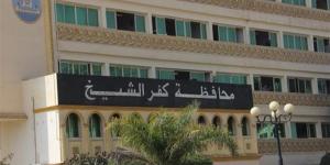 خلال أسبوع.. تفاصيل ضبط 311 مخالفة تموينية في كفر الشيخ