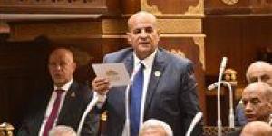 أحمد الجهمي لـ تحيا مصر: 12 مليار دولار استثمارات مصرية بأفريقيا تعكس قوة الدولة.. وسد جوليوس نيريري في تنزانيا شاهد على عمق العلاقات