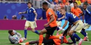 هولندا تكسر رقم البرازيل في عدد المباريات دون هزيمة بكأس العالم