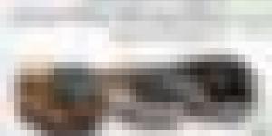 البنك الوطني الجزائري يطلق عرضًا لتمويل تجديد الحافلات