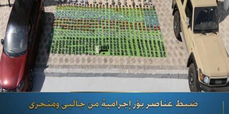 مصرع
      3
      عناصر
      خلال
      تبادل
      إطلاق
      النار
      مع
      الأجهزة
      الأمنية