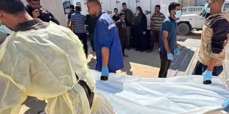 «ضمن
      صفقة
      تبادل
      الأسرى»..
      الصليب
      الأحمر
      يتسلم
      من
      إسرائيل
      دفعة
      رابعة
      لرفات
      قتلى
      فلسطينيين|صور