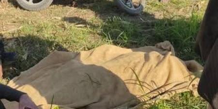 أسيوط:
      مصرع
      سائق
      تريلا
      على
      طريق
      قرية
      بني
      محمديات
      بمركز
      أبنوب