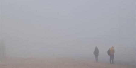 "الأرصاد:
      تحذر
      من
      شبورة
      مائية
      كثيفة
      صباح
      غد
      على
      الطرق
      الزراعية