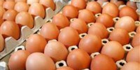 شعبة
      المواد
      الغذائية:
      كرتونة
      البيض
      تقترب
      من
      100
      جنيه..
      والمعروض
      الكبير
      وراء
      التراجع