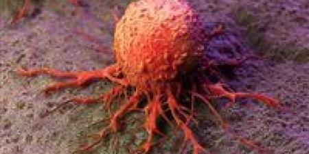 علاج
      ثوري
      يدمر
      خلايا
      السرطان
      في
      دقائق
      معدودة