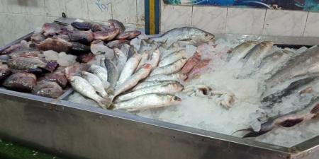 قوائم
      الفترة
      المسائية
      لأقل
      الأسماك
      سعرا
      في
      سوق
      العبور
      اليوم
      الخميس