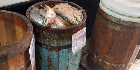 "صحة
      المنيا":
      ضبط
      4.6
      طن
      لبن
      وفسيخ
      فاسد
      خلال
      حملة
      ببني
      مزار