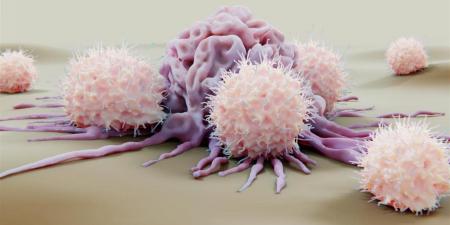 ابتكار
      دوائي
      جديد
      بقدرة
      استثنائية
      ضد
      أنواع
      متعددة
      من
      السرطان