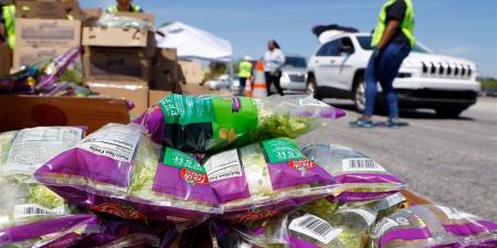 عاجل..
      ملايين
      الأمريكيين
      يفقدون
      المساعدات
      الغذائية
      الفيدرالية
      نتيجة
      الإغلاق
      الحكومي