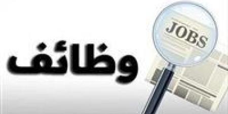 65
      وظيفة
      فندقية..
      هل
      هي
      بوابة
      لمشروع
      حكومي
      أكبر
      لتشغيل
      الشباب