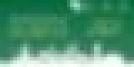 افتتاح فعاليات المنتدى الإفريقي للإدارات الجبائية تحت شعار "اعتماد مقاربات فعالة ومصوبة من أجل أنظمة جبائية منصفة".