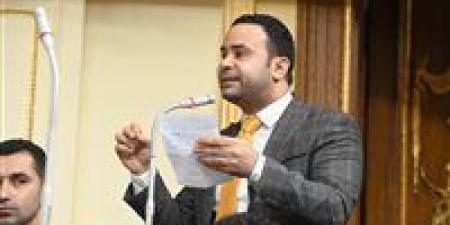 محمود بدر: مصر حافظت على توازنها الاستراتيجي في العلاقات الدولية منذ تولي الرئيس السيسي الحكم