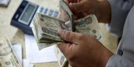 أعلى شهادة ادخارية في مصر بعائد يصل إلى 100% «فوائد 400 ألف»