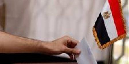 بدء الصمت الانتخابي استعدادًا لانطلاق انتخابات مجلس النواب