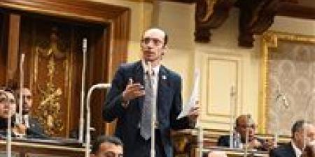 النائب محمد عبد العزيز: مصر تحصل على أعلى تصنيف دولي للمؤسسات الوطنية المعنية بحقوق الإنسان