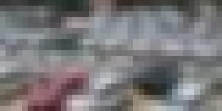 إطلاق إجراء جديد لتسهيل فحص مطابقة المركبات لمواطني ولاية الجزائر