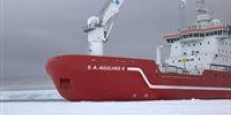 اكتشاف مذهل بقلب الجليد: أنماط هندسية غامضة ترسمها الأسماك بأعماق القارة القطبية