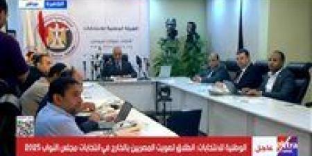 المدير التنفيذي للهيئة الوطنية للانتخابات: كل التسهيلات متاحة للمصريين بالخارج للمشاركة في انتخابات مجلس النواب 2025