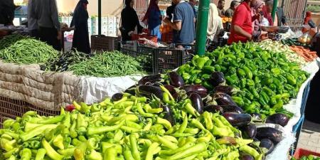 أسعار السلع الغذائية والخضر والفاكهة بأسواق الوادي الجديد اليوم الخميس
