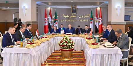 «أمن ليبيا جزء لا يتجزأ من الأمن القومي المصري».. رسائل هامة من وزير الخارجية خلال اجتماع الآلية الثلاثية لدول جوار ليبيا