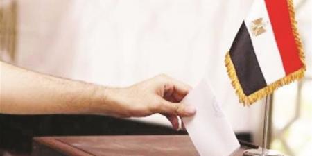 القاهرة الإخبارية ترصد آخر تطورات انتخابات النواب في الخارج