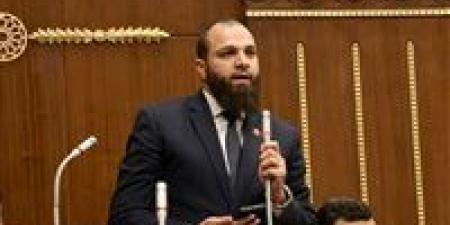 النائب محمود تركي: حزب النور سيظل صوتًا إصلاحيًا داخل البرلمان ويدعم المشاركة السياسية الجادة