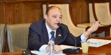 برلماني عن مشاركة المصريين بالخارج بانتخابات النواب: ملحمة تعكس وعيهم وارتباطهم بوطنهم