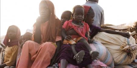 كارثة في الفاشر.. ميليشيا الدعم السريع تحرق الجثث لإخفاء جرائمها