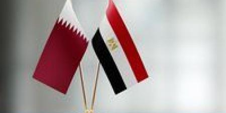 مشروع "علم الروم".. رامي حجازي لـ تحيا مصر: استثمار استراتيجي يعزز الاقتصاد