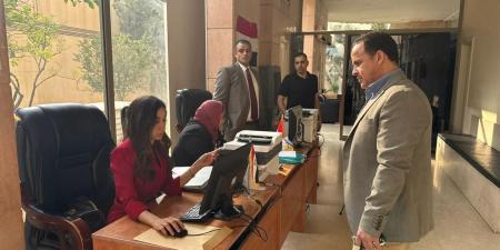 التنسيقية: المصريون في لبنان يواصلون المشاركة في انتخابات مجلس النواب 2025