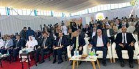 بسعة 2.3 مليون نخلة.. إنشاء أكبر مزرعة نخيل في العالم بمنطقتي توشكى والعوينات