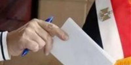 أحمد محسن: الإقبال الكثيف للمصريين بالخارج يعكس وعيًا وطنياً ويؤشر على قوة انتخابات مجلس النواب