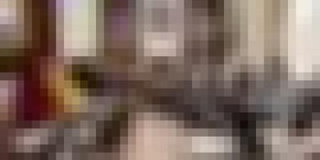 رزيق يبحث سبل تعزيز التعاون الاقتصادي والتجاري مع سفيرة كندا