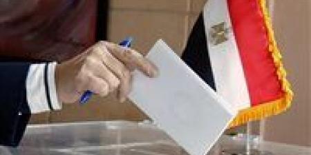 تعرف على المستندات المطلوبة للإدلاء بالصوت في انتخابات مجلس النواب 2025