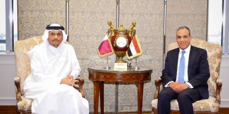 وزيرا خارجية مصر وقطر يؤكدان رفضهما لكافة أنشطة الاستيطان والانتهاكات التي تقوض فرص السلام