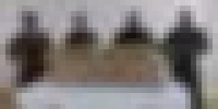 حجز 51 كلغ من الكيف داخل مستثمرة فلاحية بأدرار